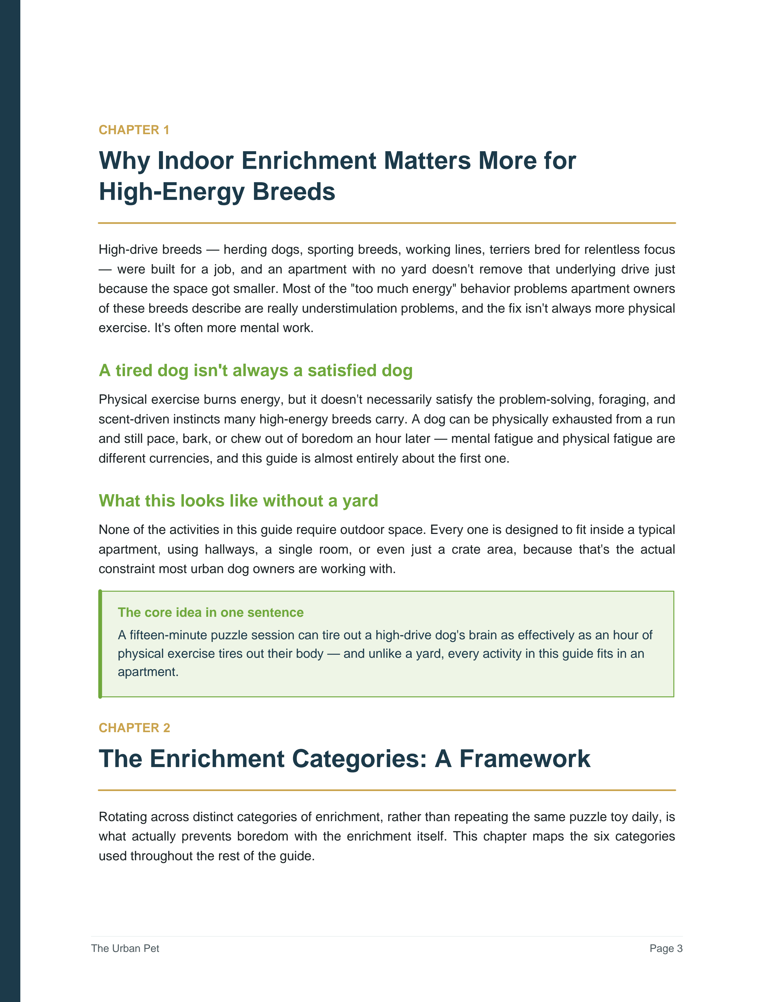 The Urban Pet: Indoor Enrichment Guide