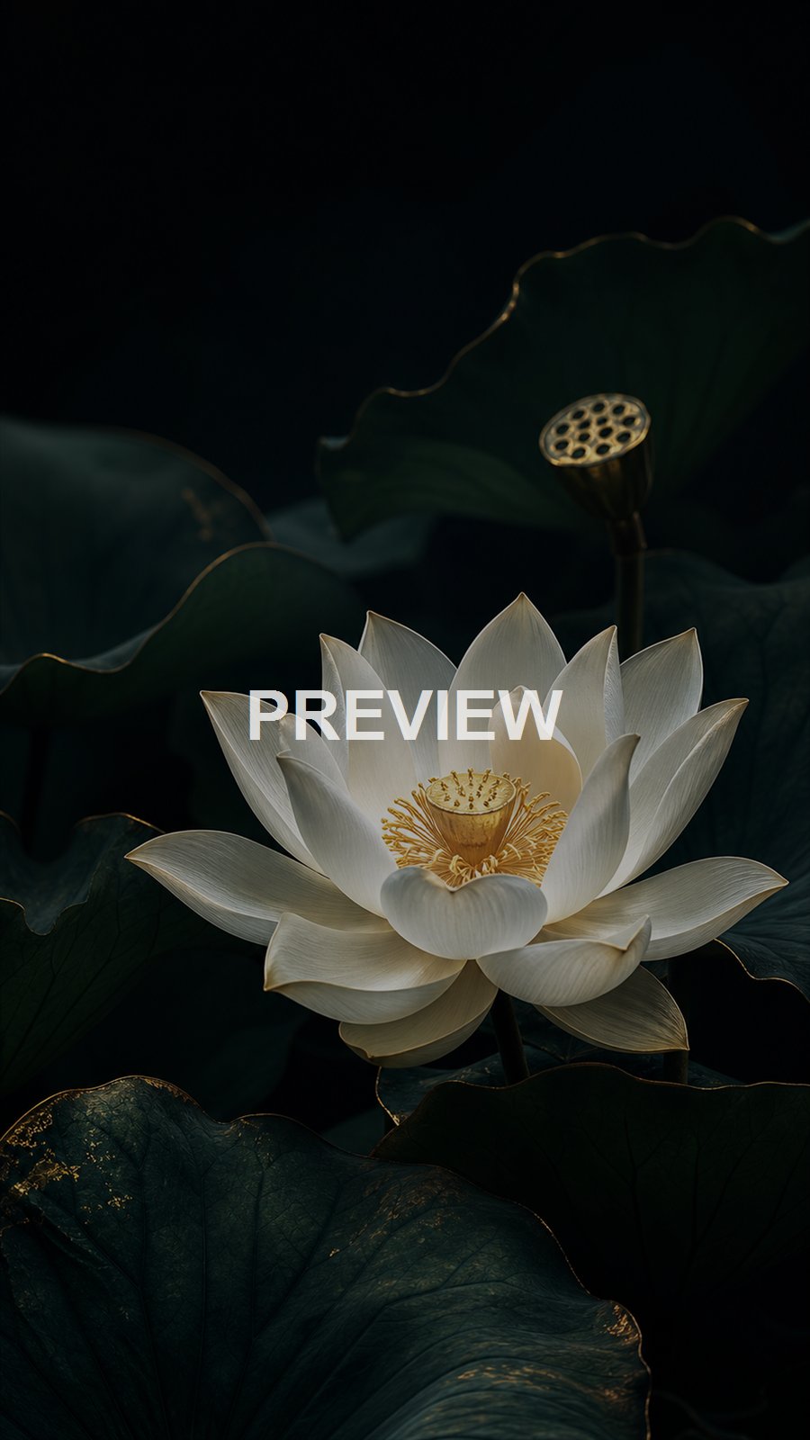 Botanical Elegance – 10 Premium Phone Wallpapers