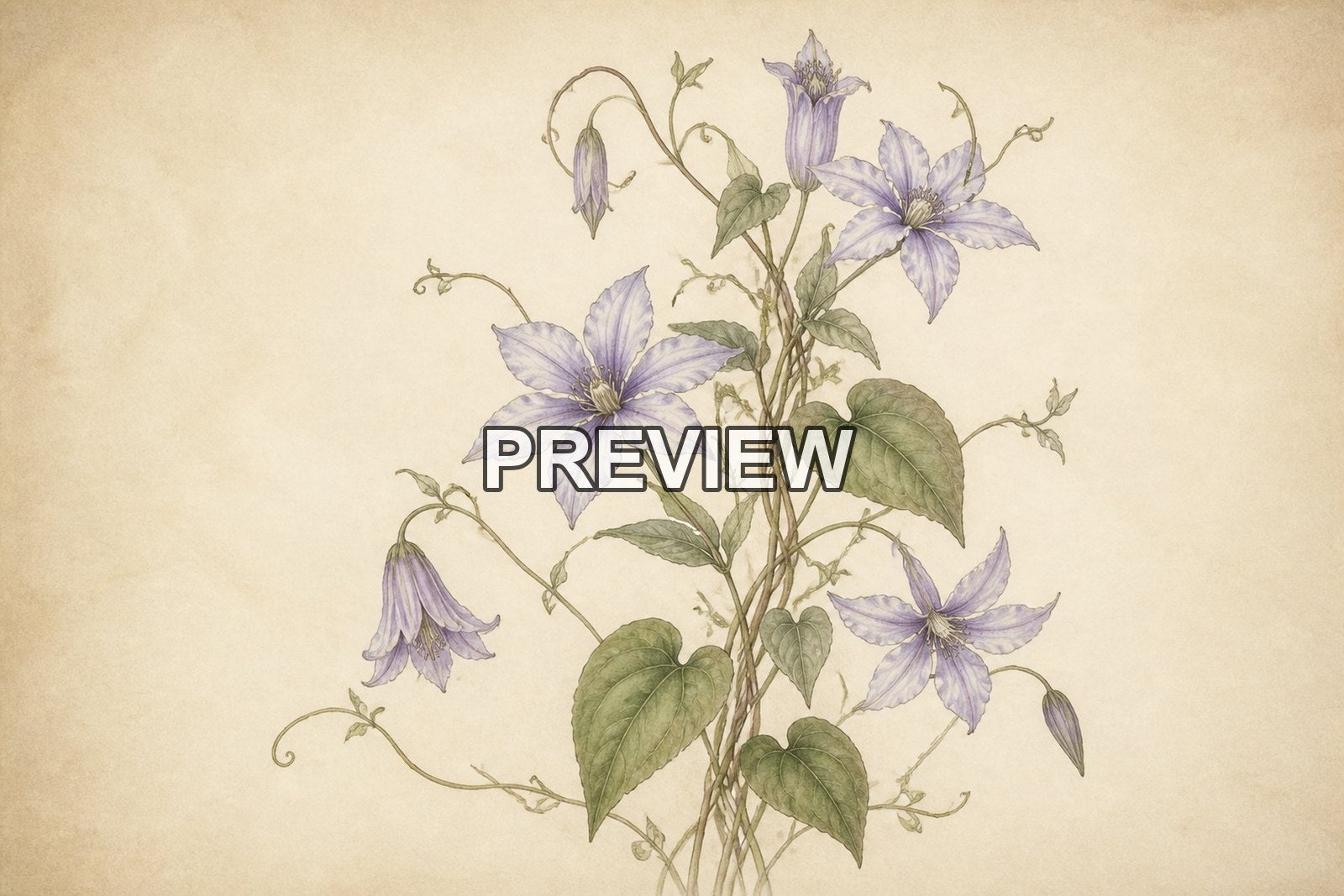 Botanical Vintage Illustrations – 10 Desktop & Phone Wallpaper Bundle – preview 4
