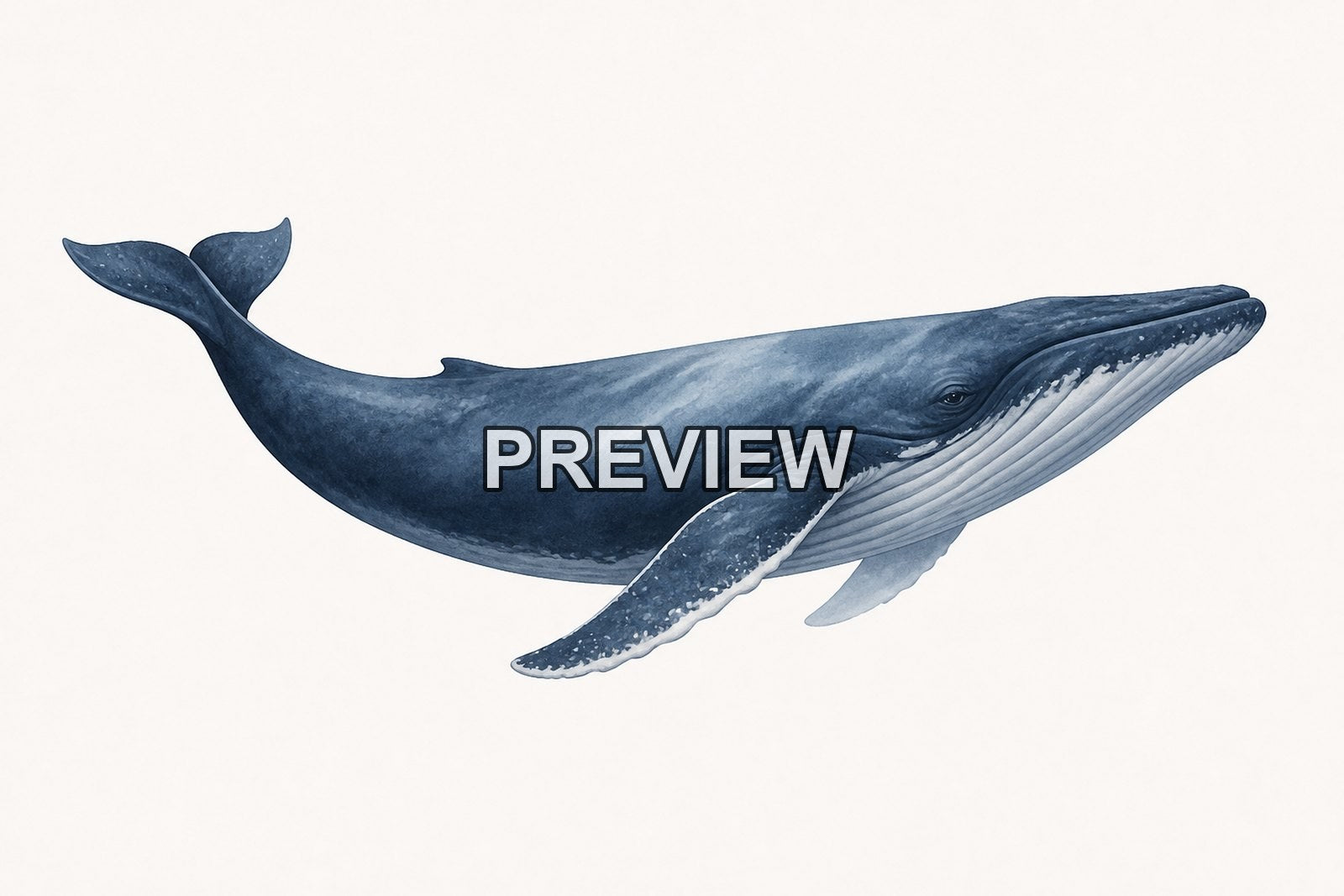 Minimalist Animal Portraits – 10 Desktop & Phone Wallpaper Bundle – preview 9