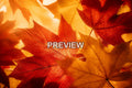 Abstract Autumn Leaves – 10 Desktop & Phone Wallpaper Bundle – preview 1