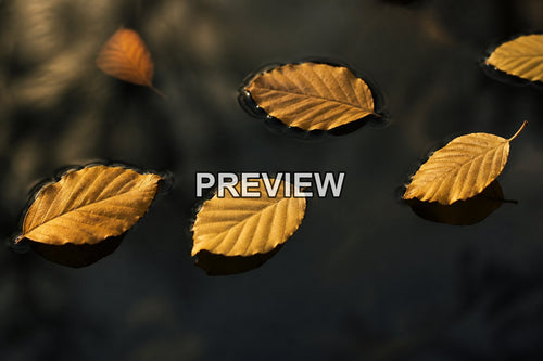 Abstract Autumn Leaves – 10 Desktop & Phone Wallpaper Bundle – preview 2