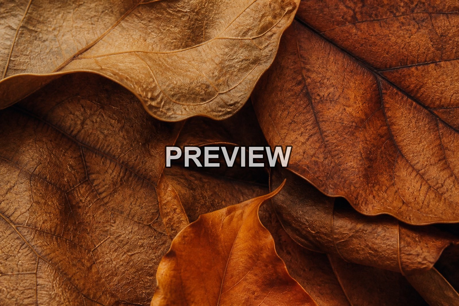 Abstract Autumn Leaves – 10 Desktop & Phone Wallpaper Bundle – preview 3