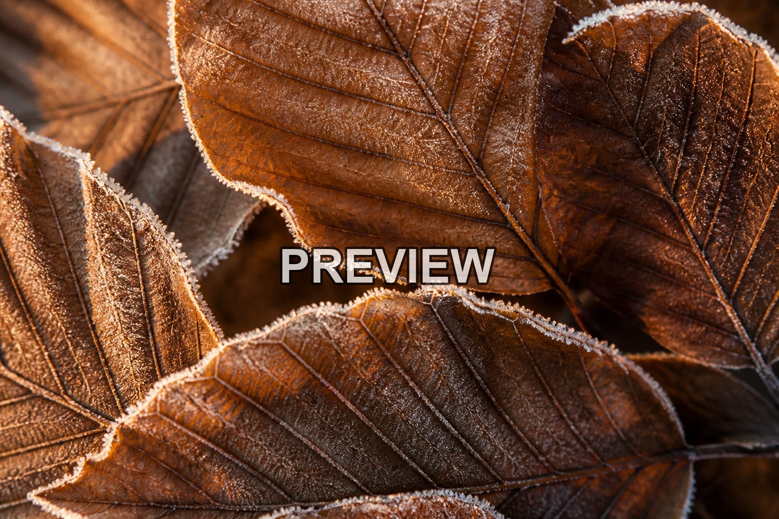 Abstract Autumn Leaves – 10 Desktop & Phone Wallpaper Bundle – preview 9