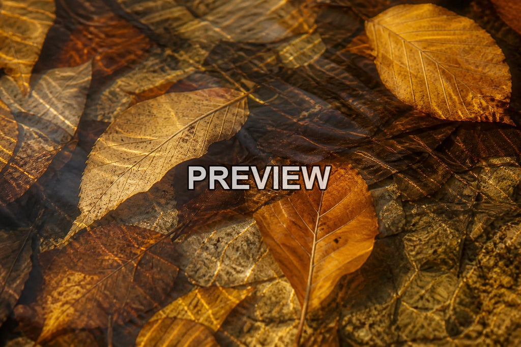 Abstract Autumn Leaves – 10 Desktop & Phone Wallpaper Bundle – preview 10