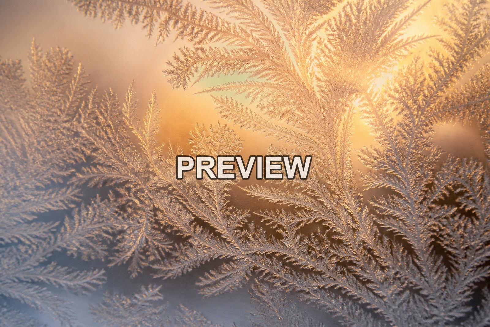 Macro Ice Flowers – 10 Desktop & Phone Wallpaper Bundle – preview 2