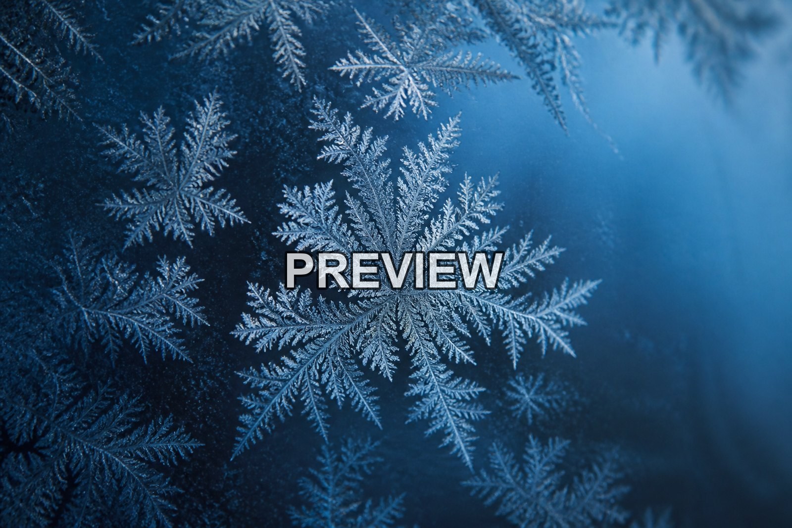 Macro Ice Flowers – 10 Desktop & Phone Wallpaper Bundle – preview 3