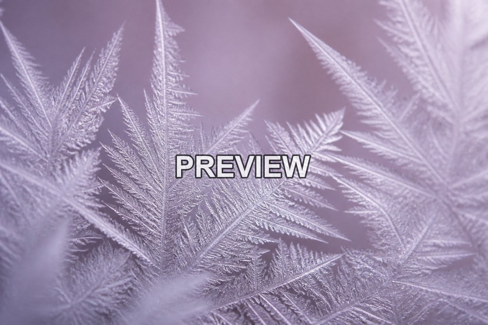 Macro Ice Flowers – 10 Desktop & Phone Wallpaper Bundle – preview 4