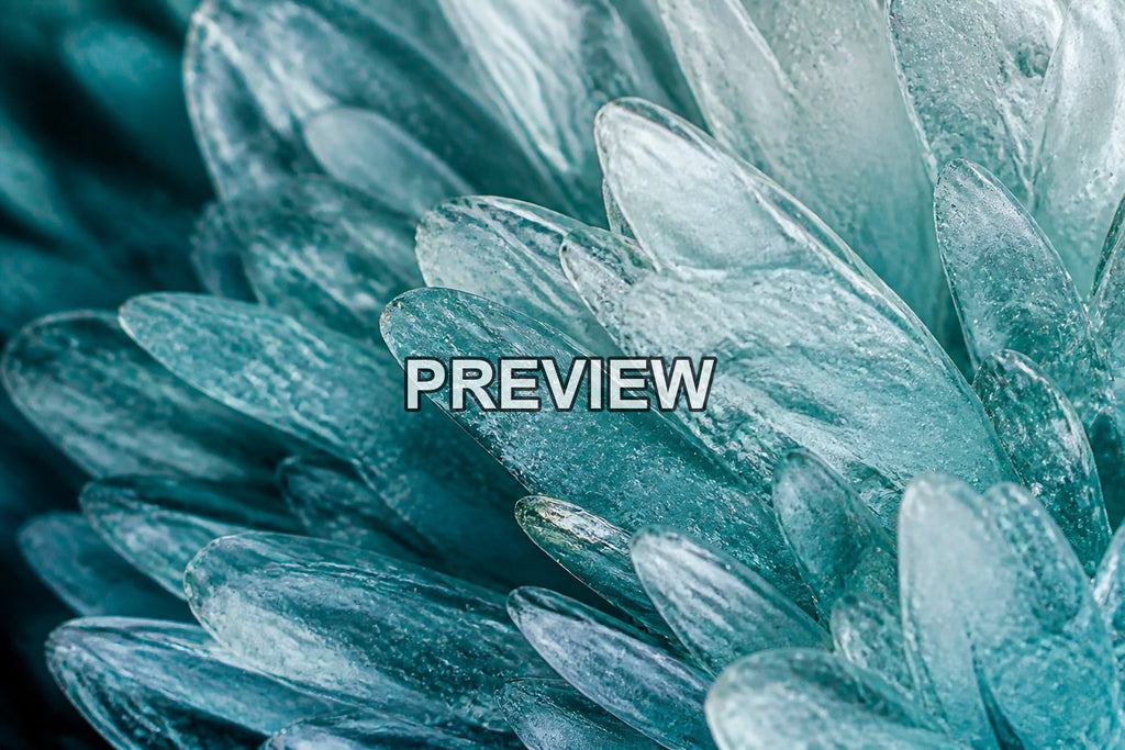Macro Ice Flowers – 10 Desktop & Phone Wallpaper Bundle – preview 6
