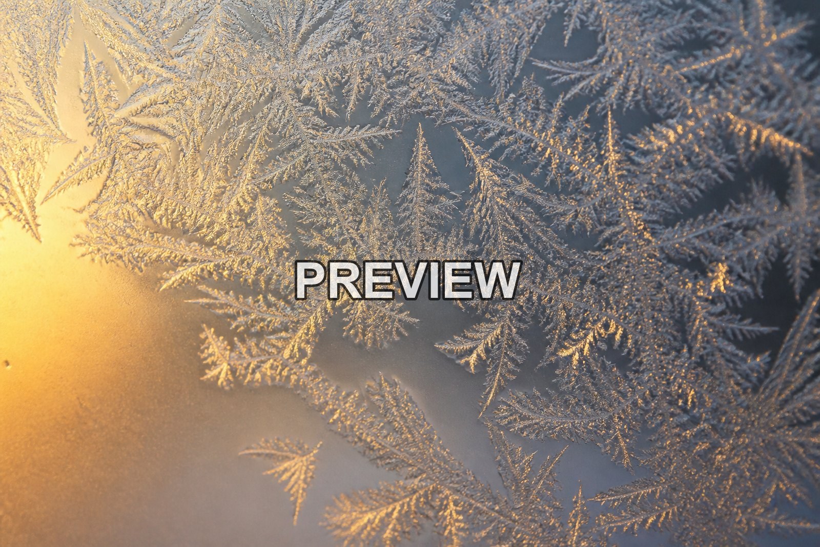 Macro Ice Flowers – 10 Desktop & Phone Wallpaper Bundle – preview 7