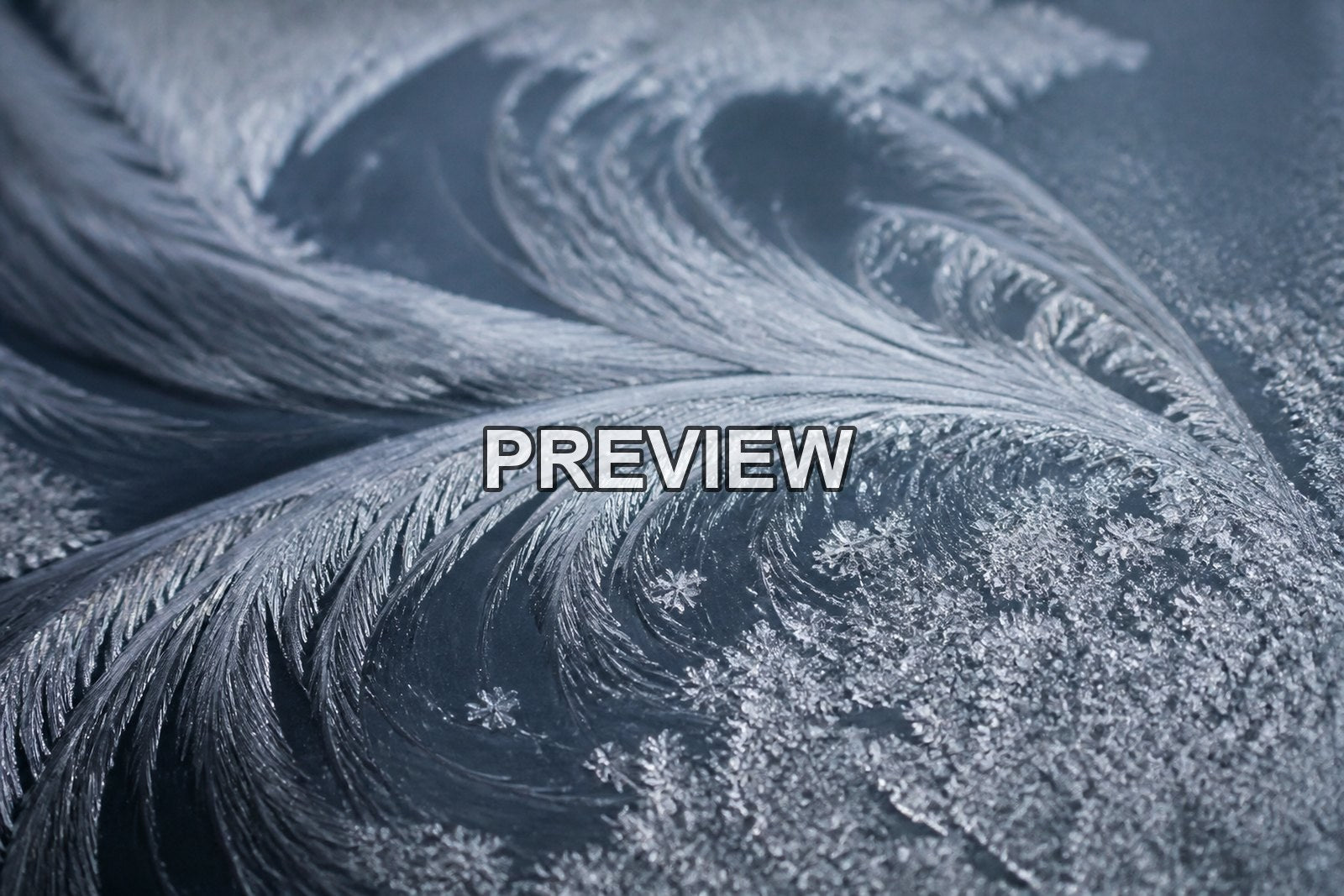 Macro Ice Flowers – 10 Desktop & Phone Wallpaper Bundle – preview 8