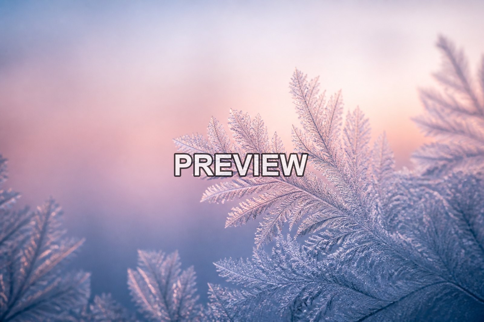 Macro Ice Flowers – 10 Desktop & Phone Wallpaper Bundle – preview 9