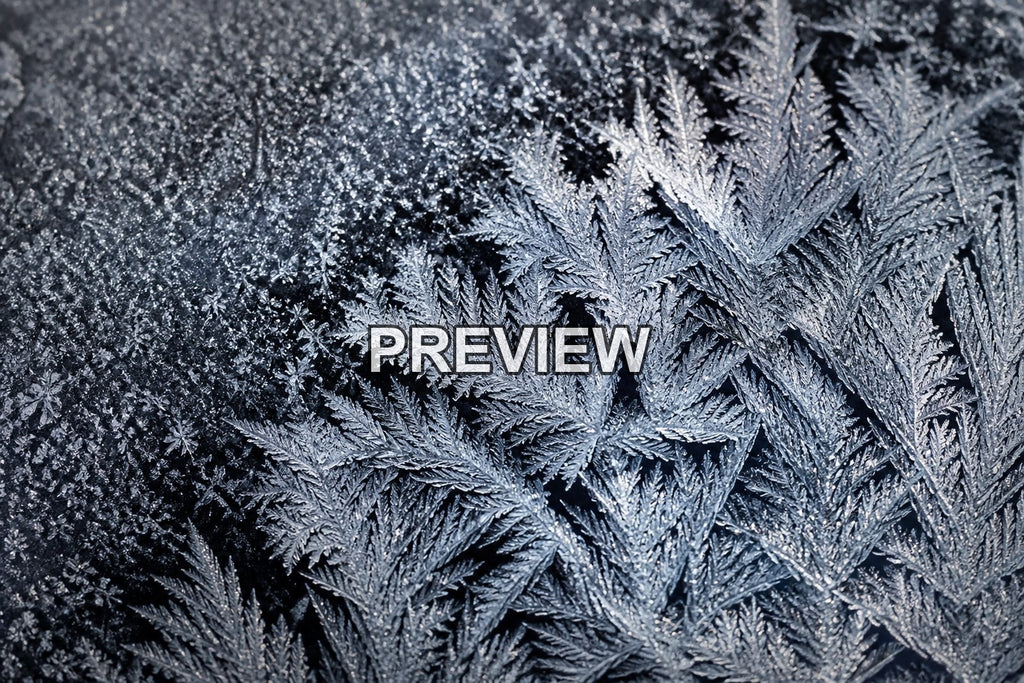 Macro Ice Flowers – 10 Desktop & Phone Wallpaper Bundle – preview 10