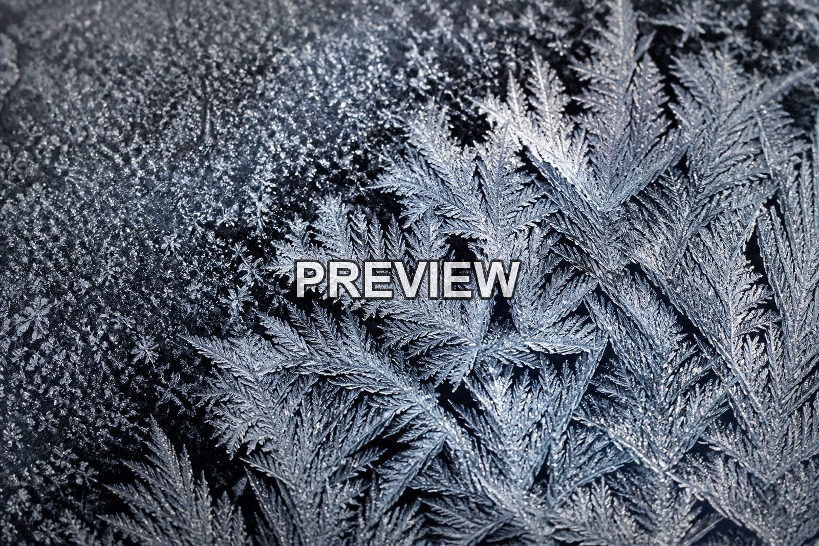 Macro Ice Flowers – 10 Desktop & Phone Wallpaper Bundle – preview 10