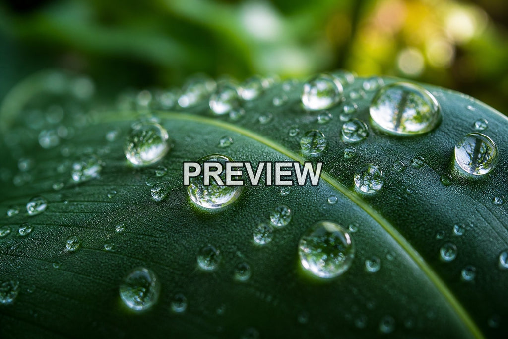 Macro Raindrops – 10 Desktop & Phone Wallpaper Bundle – preview 1