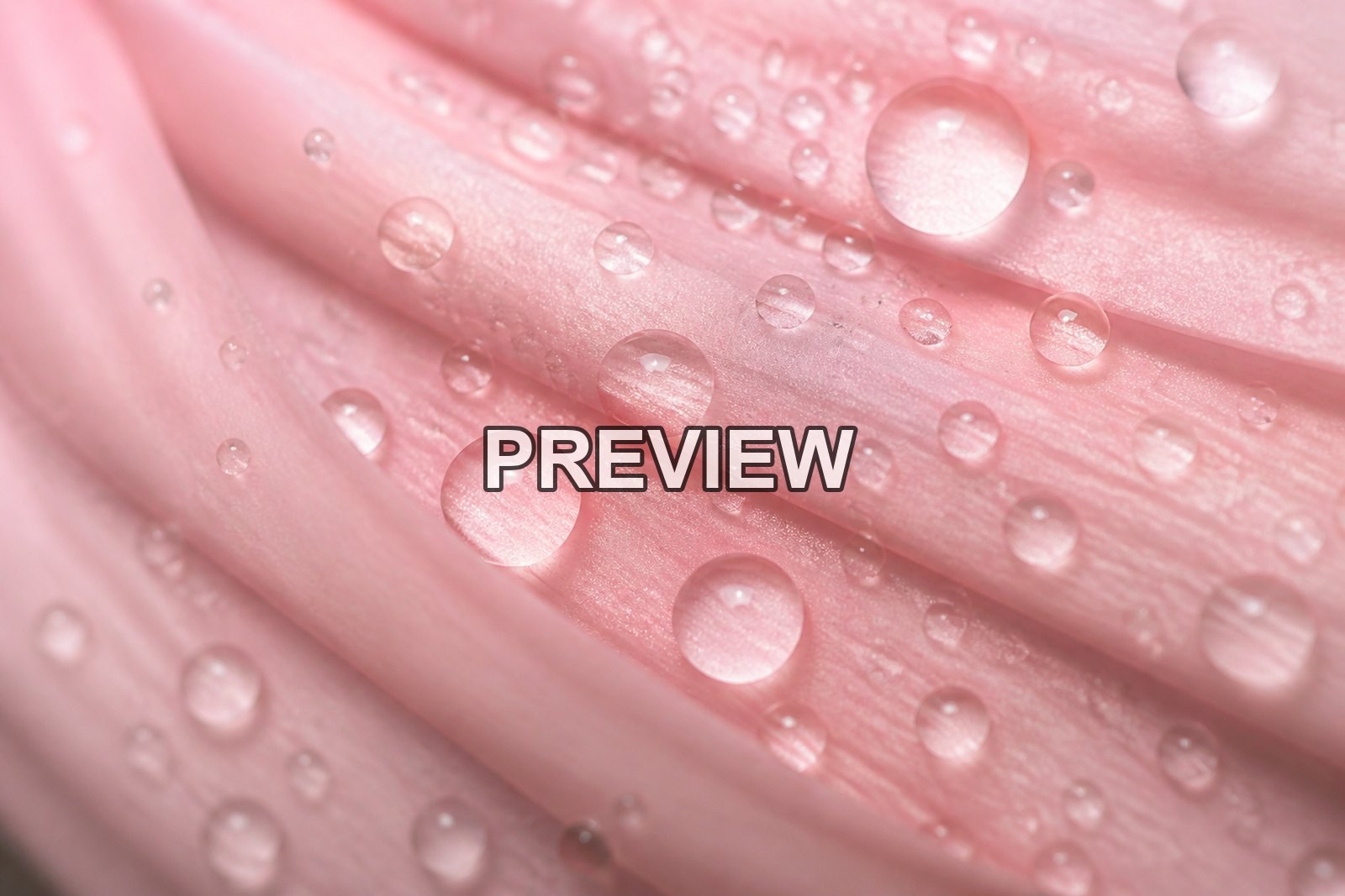 Macro Raindrops – 10 Desktop & Phone Wallpaper Bundle – preview 3