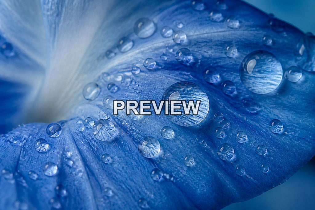 Macro Raindrops – 10 Desktop & Phone Wallpaper Bundle – preview 9